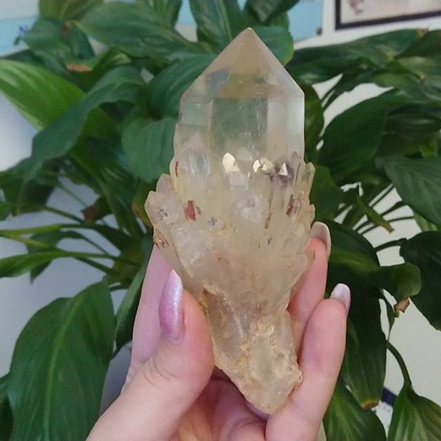 ZAminerals's tweet photo. A  wondrous and transparent Kundalini Citrine from Luena(Lwena), the Democratic Republic of the Congo DRC 🤤 😍!
.
.
Don't you just Luurv Natural citrine!? ❤️💕
If you are interested in this beauty head to our website!
🔗 Link in Bio 🔗 
Custom Code: … https://t.co/4uO5Vx9dPq https://t.co/4qey2eJmdq