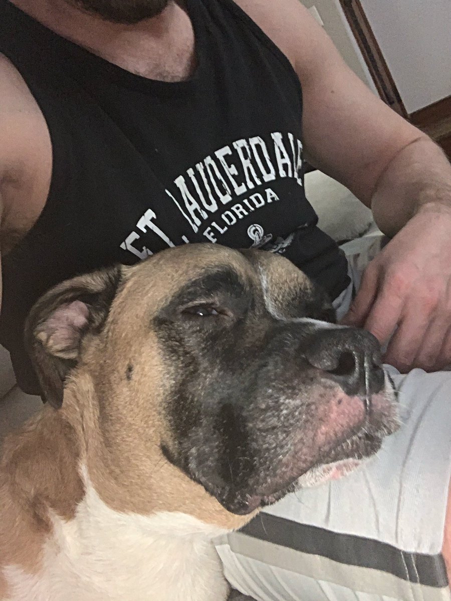 Someone’s sleepier than me this morning. #zzz #Levi #puppylove #weneedstrongercoffee