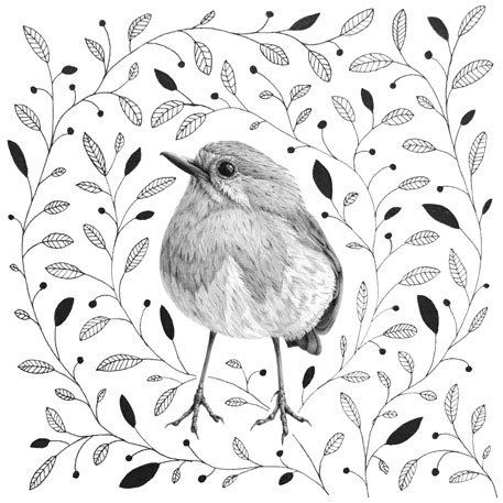 8eardedSquirrel's tweet photo. I π€ drawing in #pencil and #penandink so I decided to bring the two together! What do you think? As I had the Robin illustration already, I drew the frame separately and superimposed in Photoshop #pencildrawing #mixedmedia #artist #handdrawn #art #bird #botancial #blackandwhite https://t.co/tUbZfeqRAr