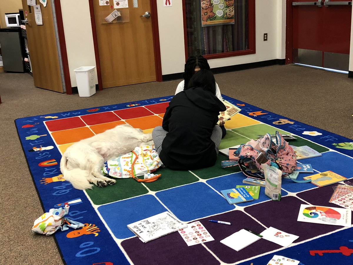 lander_library's tweet photo. Finley brightens our Thursdays! We ❤️ him and his owner, Miss Agda. Our students are already making wonderful progress. 🦮📚#readingtherapydog #readingpaws @jbland100 @MsEkpere @MsSmall2016 @APSITPatrice @APSMediaServ https://t.co/qBniq3aTq8