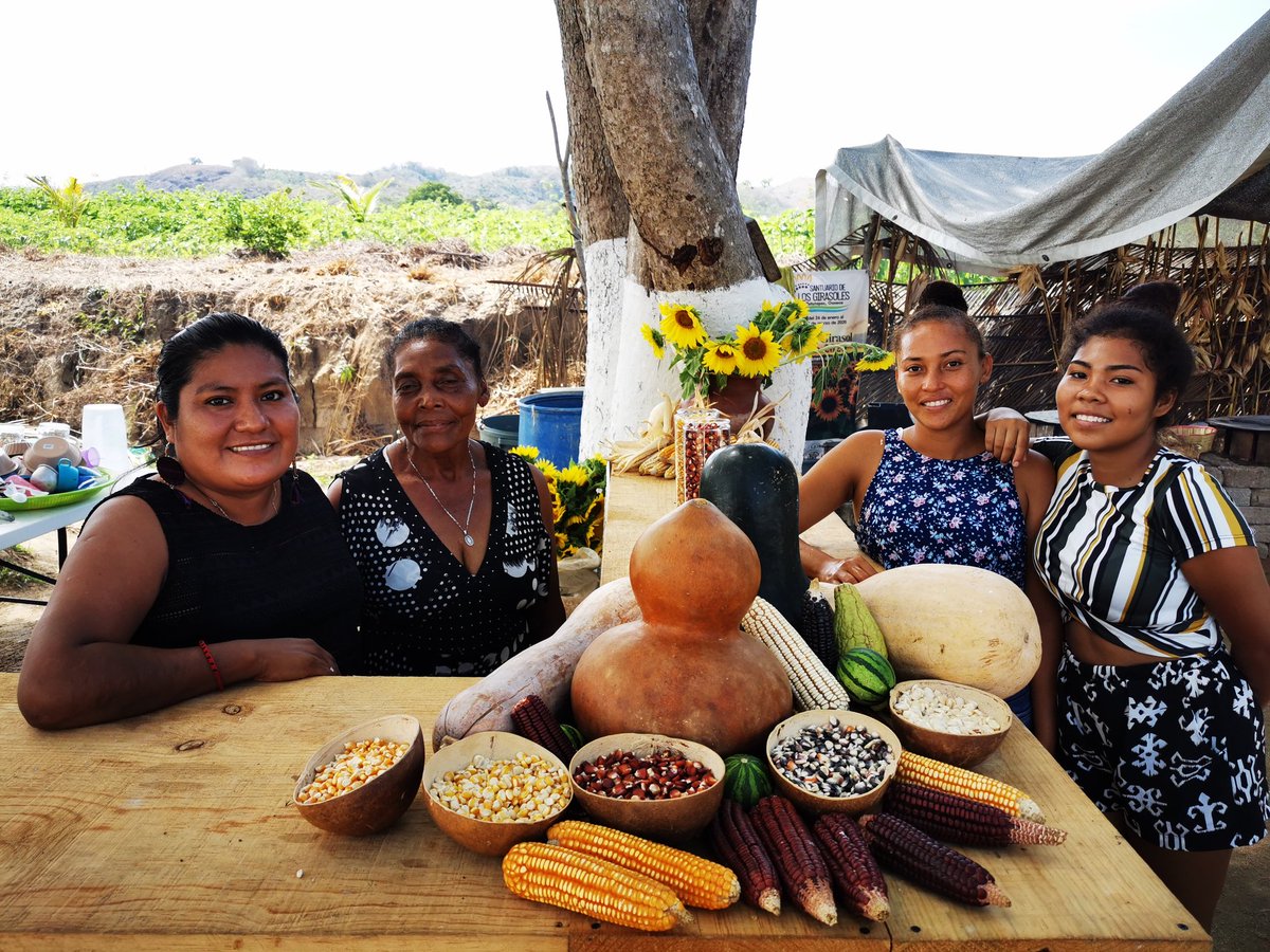 JOSEMARICHE's tweet photo. En NATIVO Cocina Tradicional &amp; Gourmet estamos promoviendo el rescate de los maices  nativos y la cocina tradicional Oaxaqueña en el municipio de Villa de Tututepec y Puerto Escondido, Oaxaca.
@bramaccimmyt
@vlopezsaavedra
@ACCIMMYT
@CIMMYTesp
@FAOMexico
@HubPSurCimmyt https://t.co/FQHVscIZ08