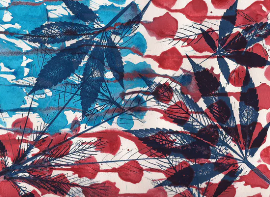 transformertube's tweet image. 8 Fast Facts About the History of Cannabis in the U.S.

hellomd.com/health-wellnes…

@HelloMD_com