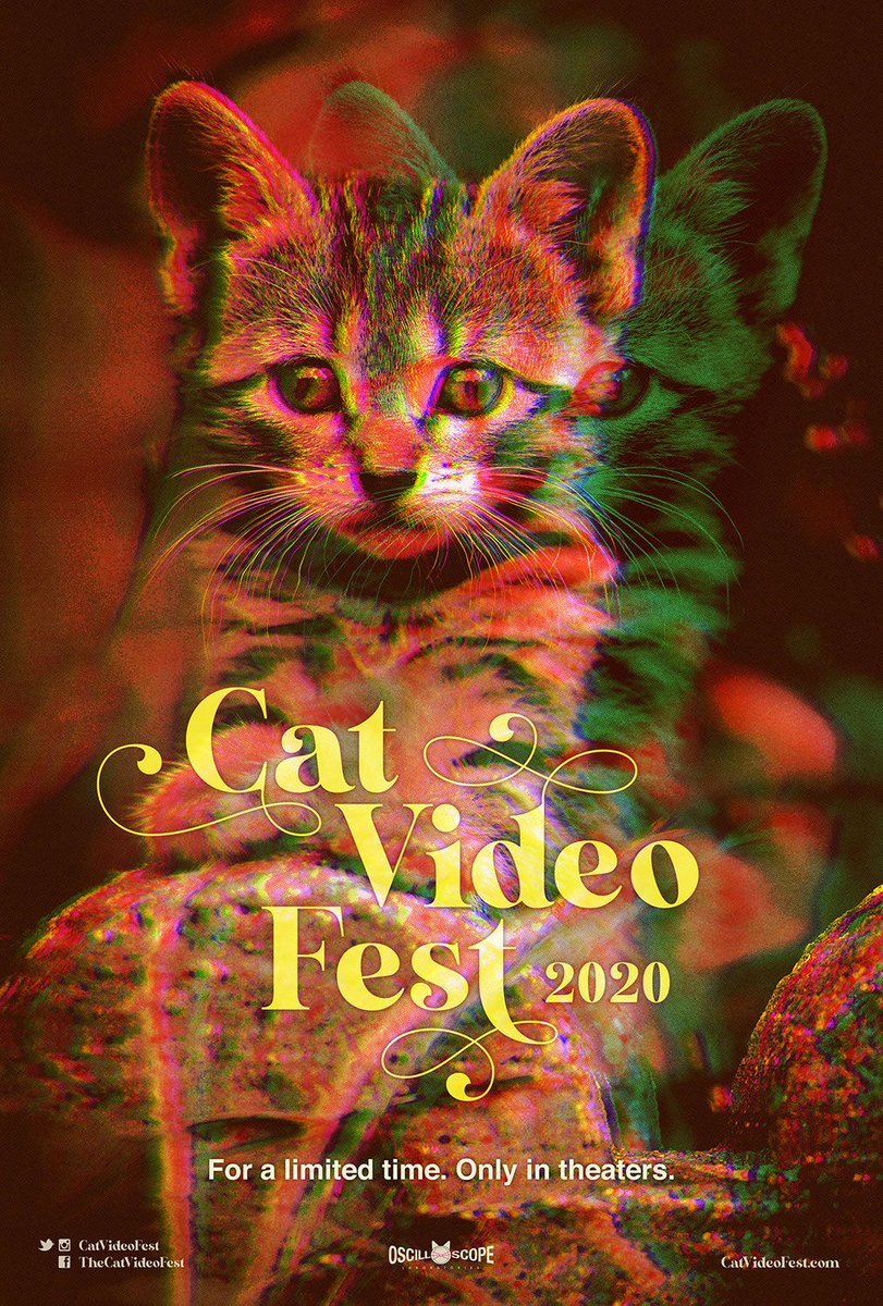 ThursdayShoots's tweet photo. Hey #NitehawkProspectPark, make sure you have some extra milk for the #CatVideoFest2020 screenings this weekend. 
Tickets: https://t.co/YC9KCOEbu7 @nitehawkcinema @CatVideoFest https://t.co/RzYDDgi1i7