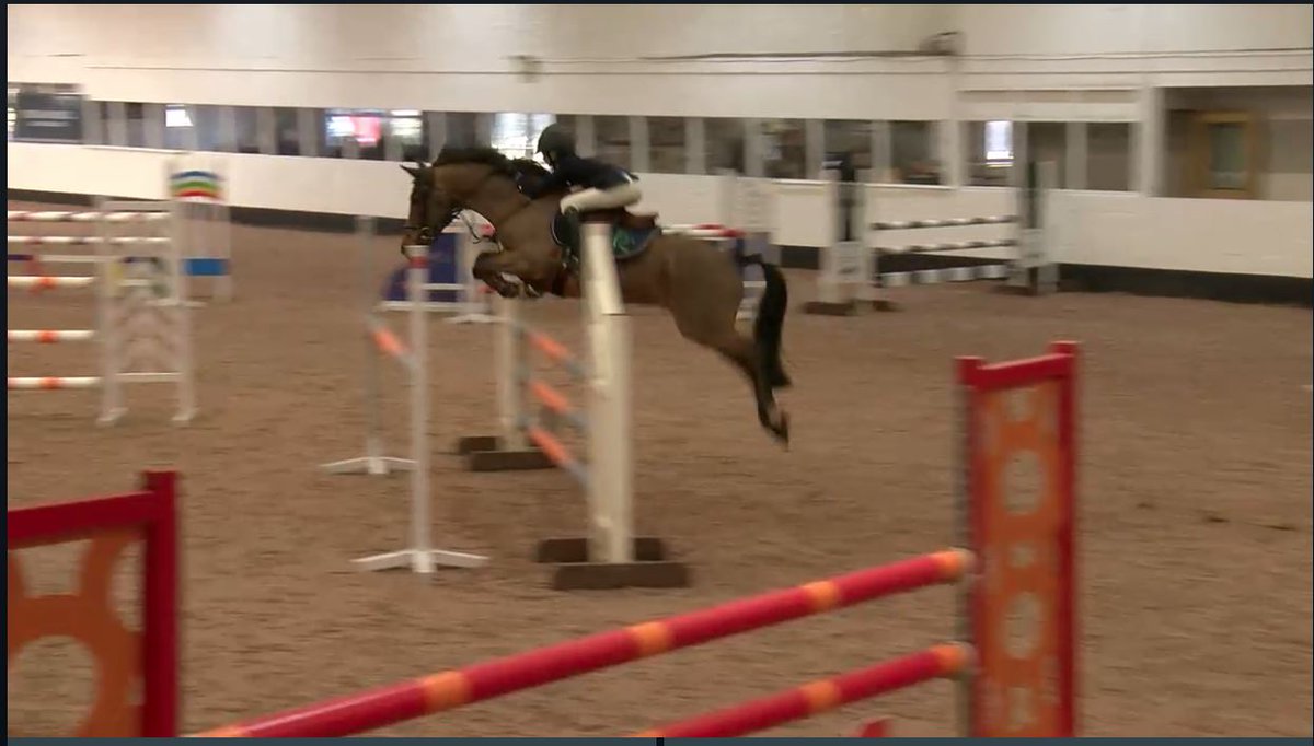 britequestsport's tweet photo. Stay tuned in to https://t.co/q4wDpdB4g3 for more action from the Richmond Equestrian Centre - REC Arenas 128cm/138cm Pony Premier!

Kindly supplied by @ClipMyHorse https://t.co/QffmoJPGZI