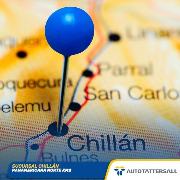 AutoTattersall's tweet photo. ¿Eres de Chillán? ¡Llegó el momento de cambiar el auto, visita nuestra sucursal y elige el tuyo!

#autotattersall #chile #autosusados #autosusadoschile #autotattersallconcesionarios #concesionarios #autotattersallchile #revisionesanuales #revisióntécnica… https://t.co/Hw5gebBfgO https://t.co/sc3GRQnnHu