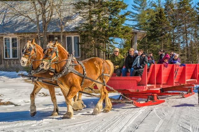 Come out for our Family Round Up this Saturday or Sunday - we'll be going by sleighs all weekend! Just arrive at 10:30am to register. Kids 2 and under are FREE!

Or join us on Sunday only for our Family Sleigh Ride. Just arrive at 1:30pm Sunday to register for the sleigh ride!