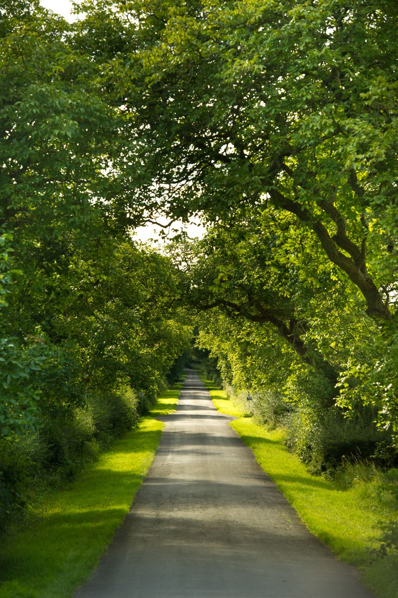 The wait is nearly over...

This time next week you will be able to drive down this familiar road to come and stay at your second home ❤
