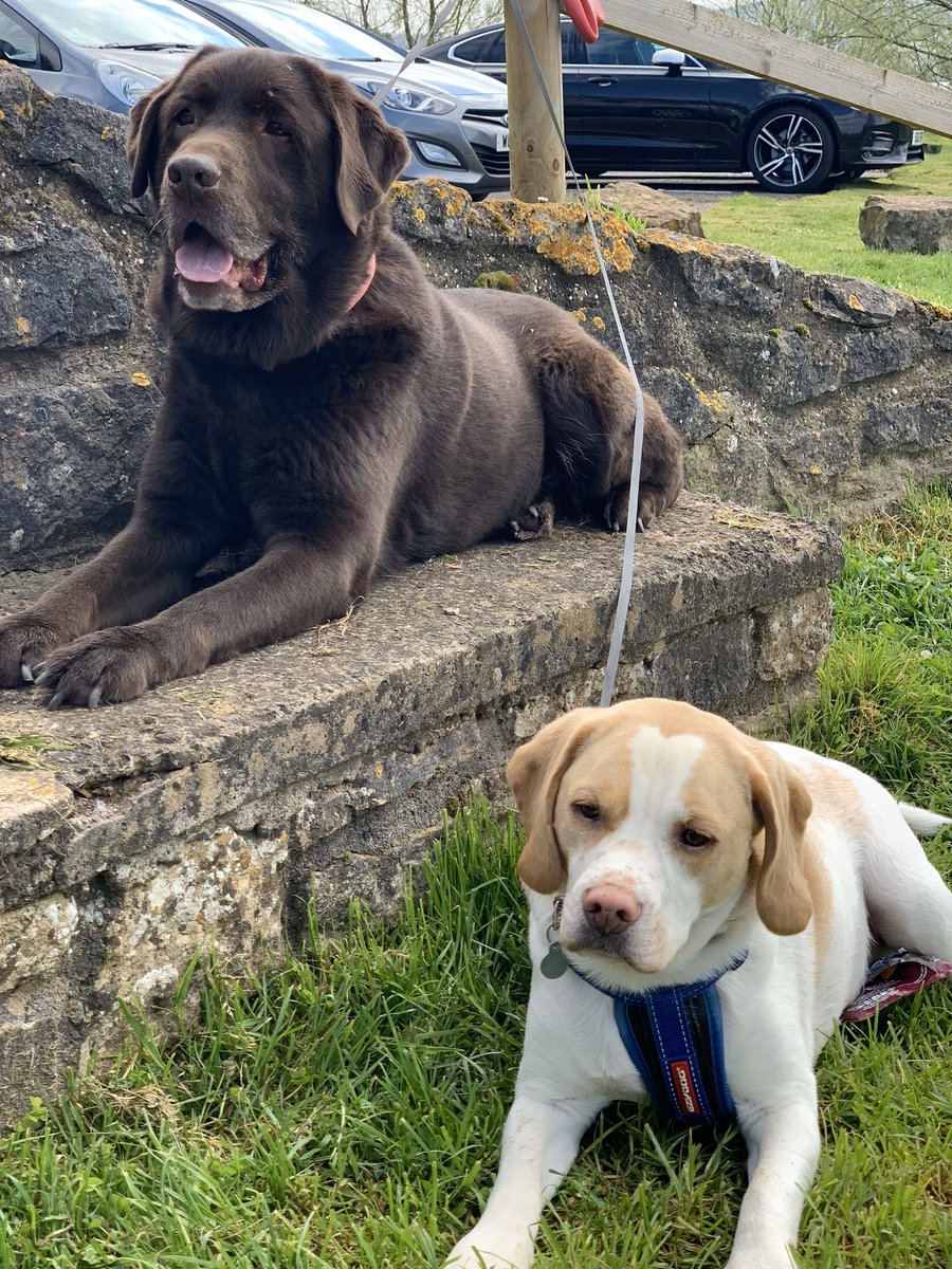 CharlotteGarton's tweet photo. @OfficialPLT https://t.co/vTsxccmIpI