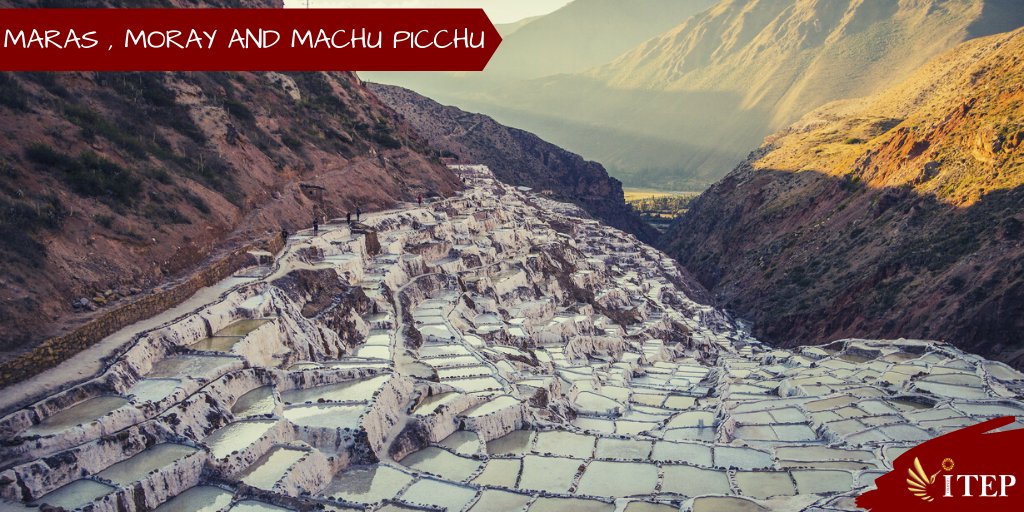 IncaJunglePeru's tweet photo. Maras , Moray and Machu Picchu 
(Machu Picchu Tours)

More info:
+51 936 102856
info@incajungle.net
https://t.co/E956TZuTcI

#MarasCusco #Moray #ITEP #BestTravel #BestTrek https://t.co/xLXHOZXMo4
