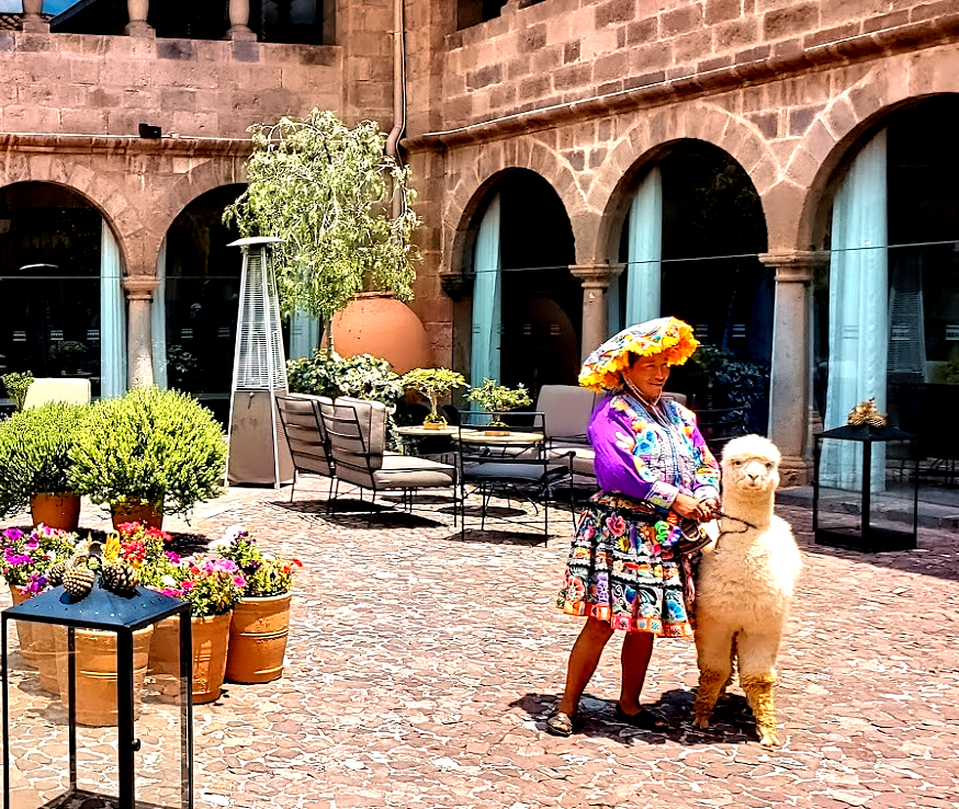 Embarky3's tweet photo. Alpacas were treasured as the most important animal for the Inca civilization. https://t.co/JOrPKDt5wf