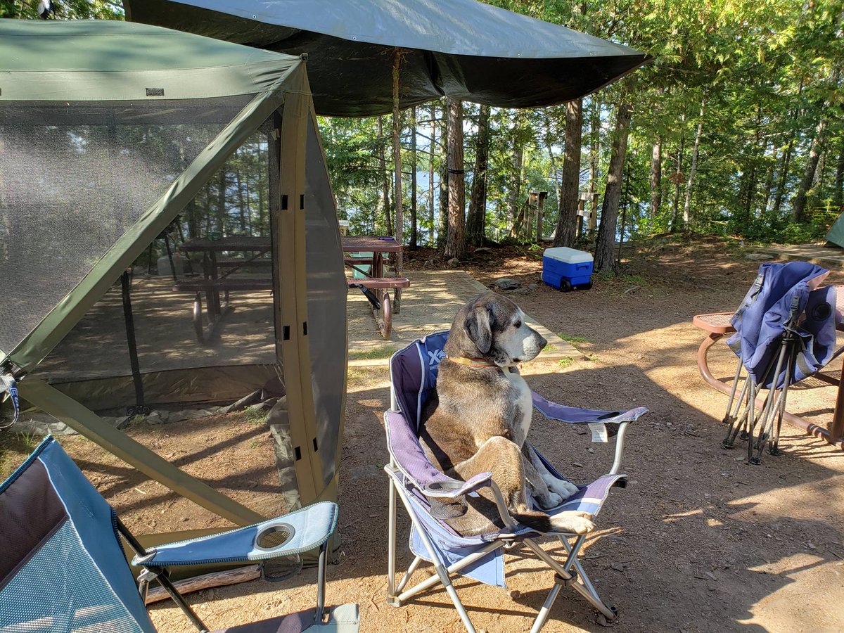 VoyageursOut's tweet photo. Wanna just kick back and relax? Come to voyageurs National Park for a relaxing vacation in mother nature. Call us to discuss I we can help you make the most of your time while in Voyageurs National Park. Your adventure is out there...
#youradventureisoutthere
#sunsetwithfriends https://t.co/VveiKdHo1s