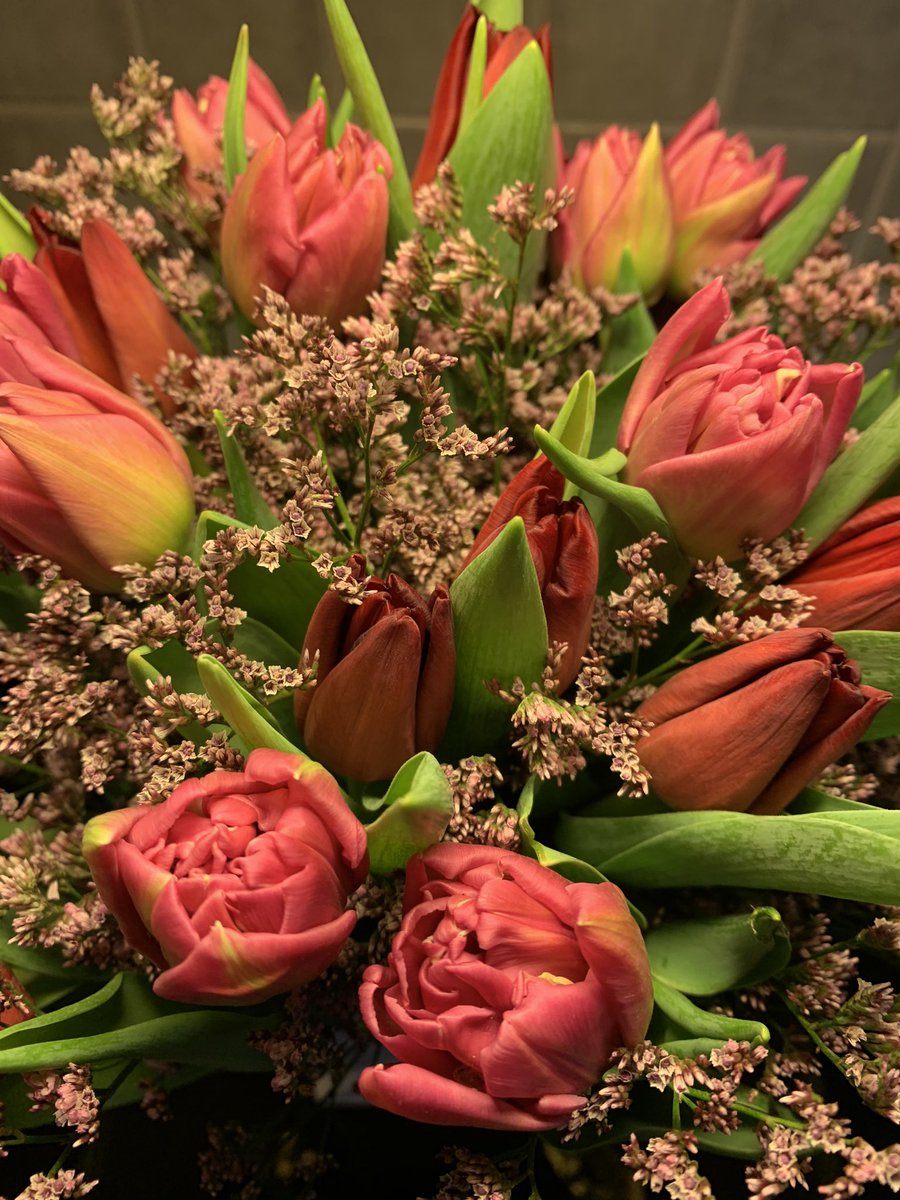 bibbisell's tweet photo. Fantastiskt att återigen få en blombukett på fredagen. Så vackra och så välgörande. #sjuksskriven https://t.co/kOzctSEcn2