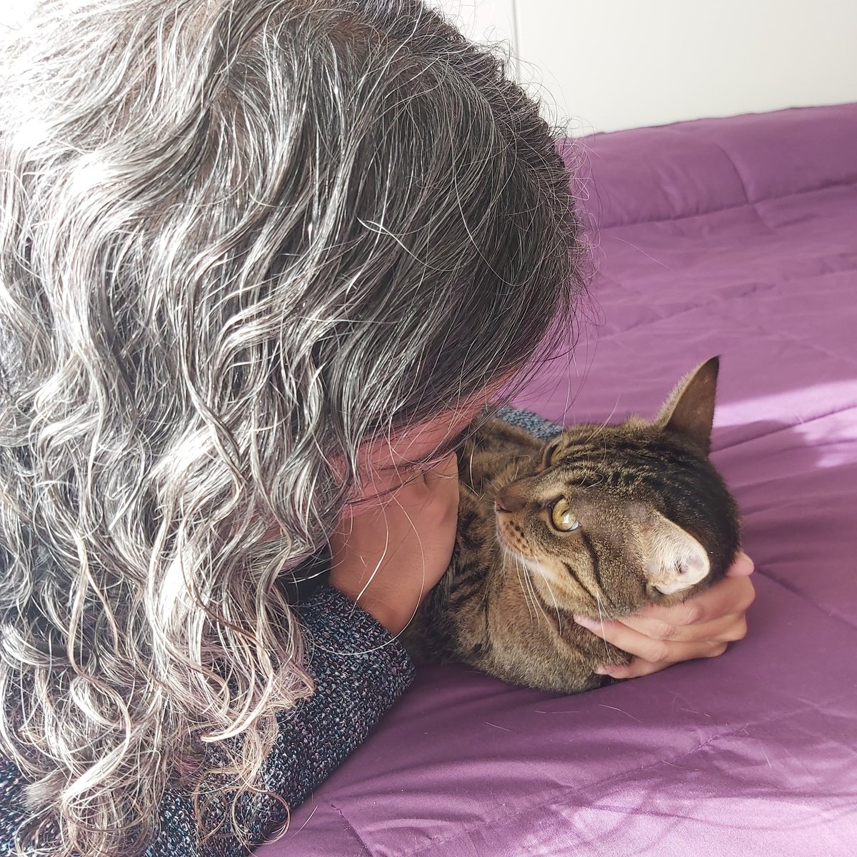 Ahorraconraquel's tweet photo. Tantos años juntas como para no ser true Friend 🙂❤🐱

#EmbajadorTrueInstinct, 
 @trueinstinctpetcare
#friends  #amigos  #gatos 
#trueinstinct #FelizViernesATodos #FelizFinde https://t.co/IK1xxOj2yO