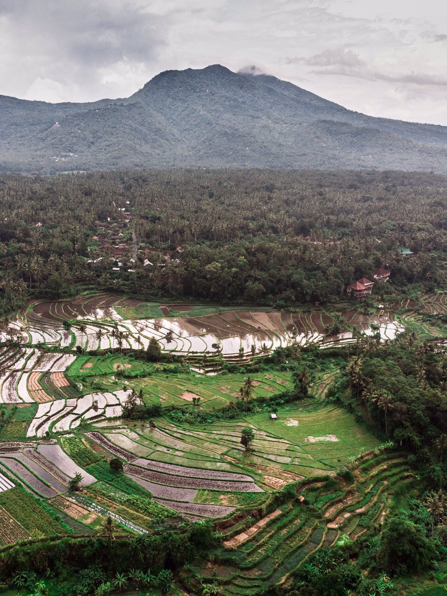 Entienden lo linda que es esta isla del amor? 😍💚 #bali