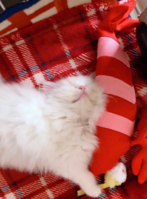 注目 画像ツイート ワガママハイスペック 6ページ目 アニメレーダー