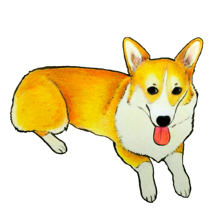 あお 眉毛コーギー コーギー アナログ コーギーイラスト コーギー大好き イラスト王国 犬の絵 イラスト 柯基 犬 絵描き人 Corgi Art Dogart Illustration