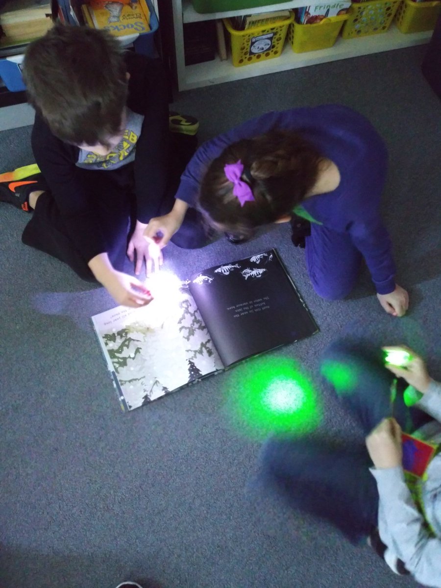 When your kids beg you for "Flashlight Friday" you know you found a great way to create excitement around reading! #edmonsonlions #wearelamphere