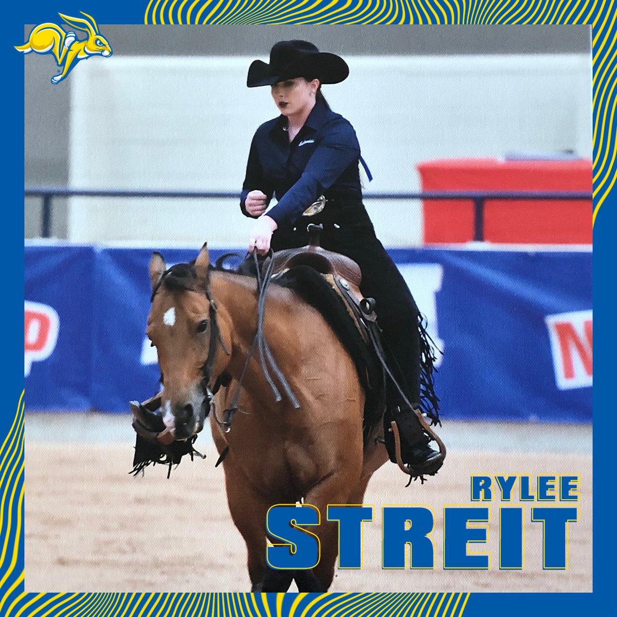 GoJacksEQ's tweet photo. We've got our final two seniors today before our meet tomorrow! This is Rylee Streit, a Western senior from Holden, Missouri. She has 10 career wins in Horsemanship and is 3-2 this year in the event! #GoJacks https://t.co/UNurjJVKoo