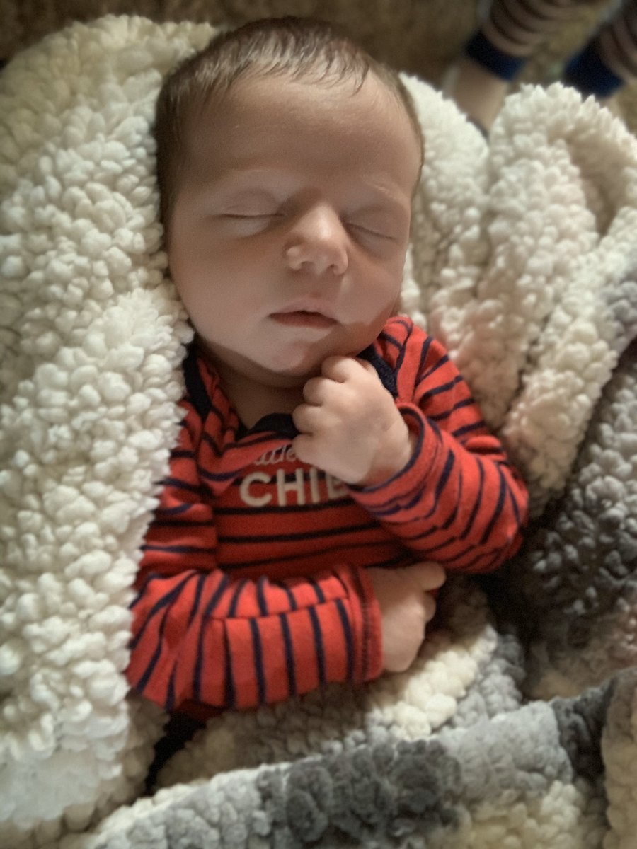 Amanda__Reed's tweet photo. Literal perfection♥️ https://t.co/SXJgFpCFth