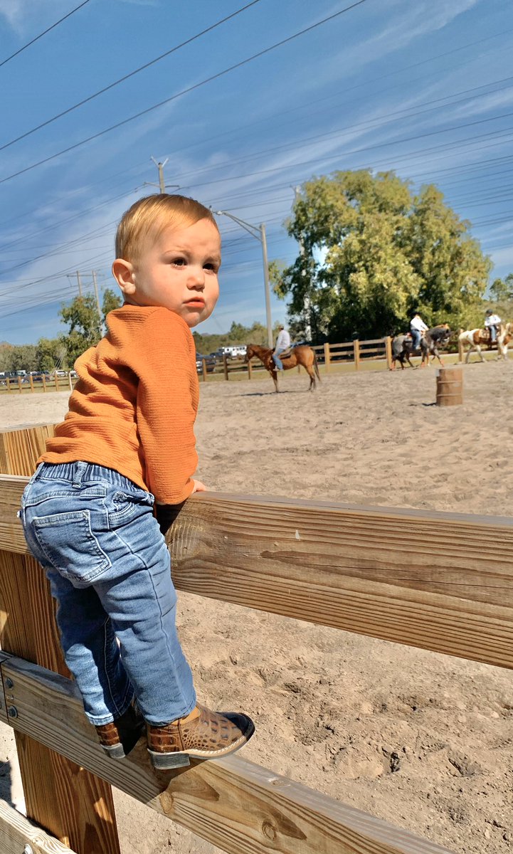 Amanda__Reed's tweet photo. Literal perfection♥️ https://t.co/SXJgFpCFth