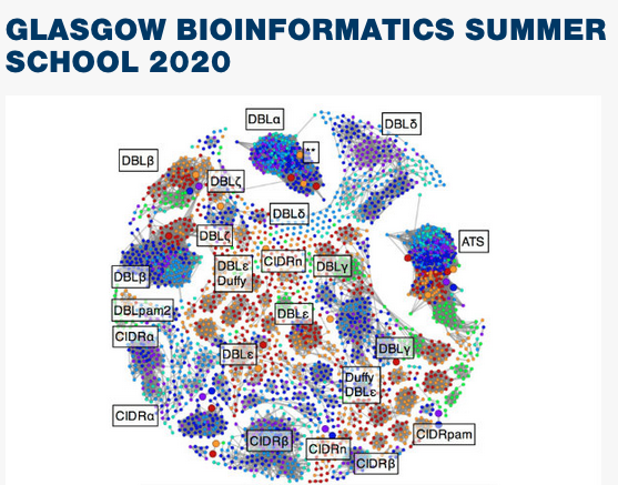 BiottofnI's tweet photo. Please RT: The Third Glasgow #BioInformatics Summer School will take place 24-28 of August 2020: https://t.co/VK7CmX6vVd We cover #NGSS, #linux, #R, mapping, #RNA-seq, scRNA-Seq and a lot more. Very good feedback last year!
 
@iiiglasgow @WCIPGLASGOW https://t.co/U62Zrdauwc