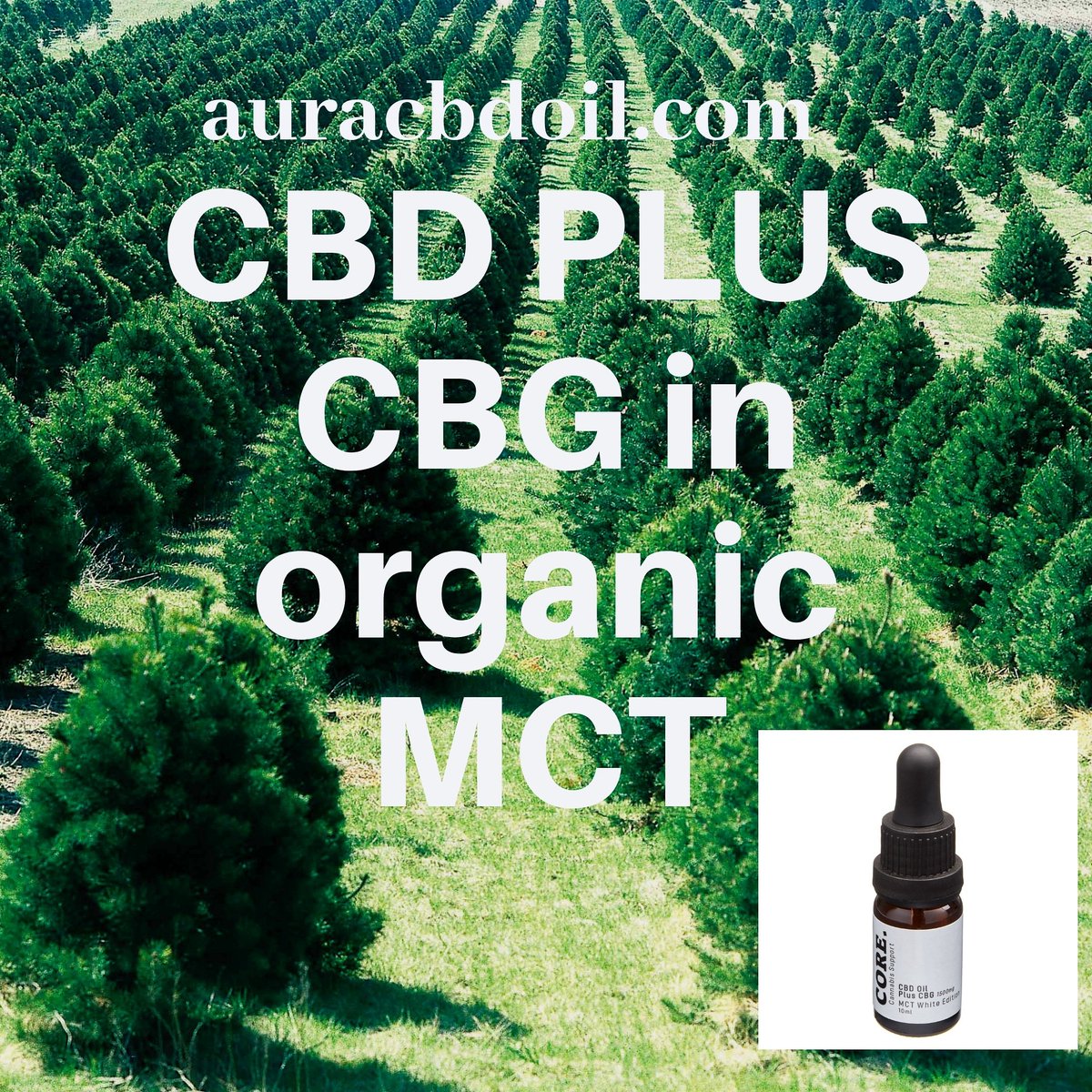 Auracbdoil's tweet photo. Hey guys, check out our new CBD PLUS CBG oils at https://t.co/hxDJZ28EC3. Use voucher code CORE1 at the checkout for 15% off until Sunday #CBG #cbdoil #cbdlife https://t.co/4t6BBwezDI