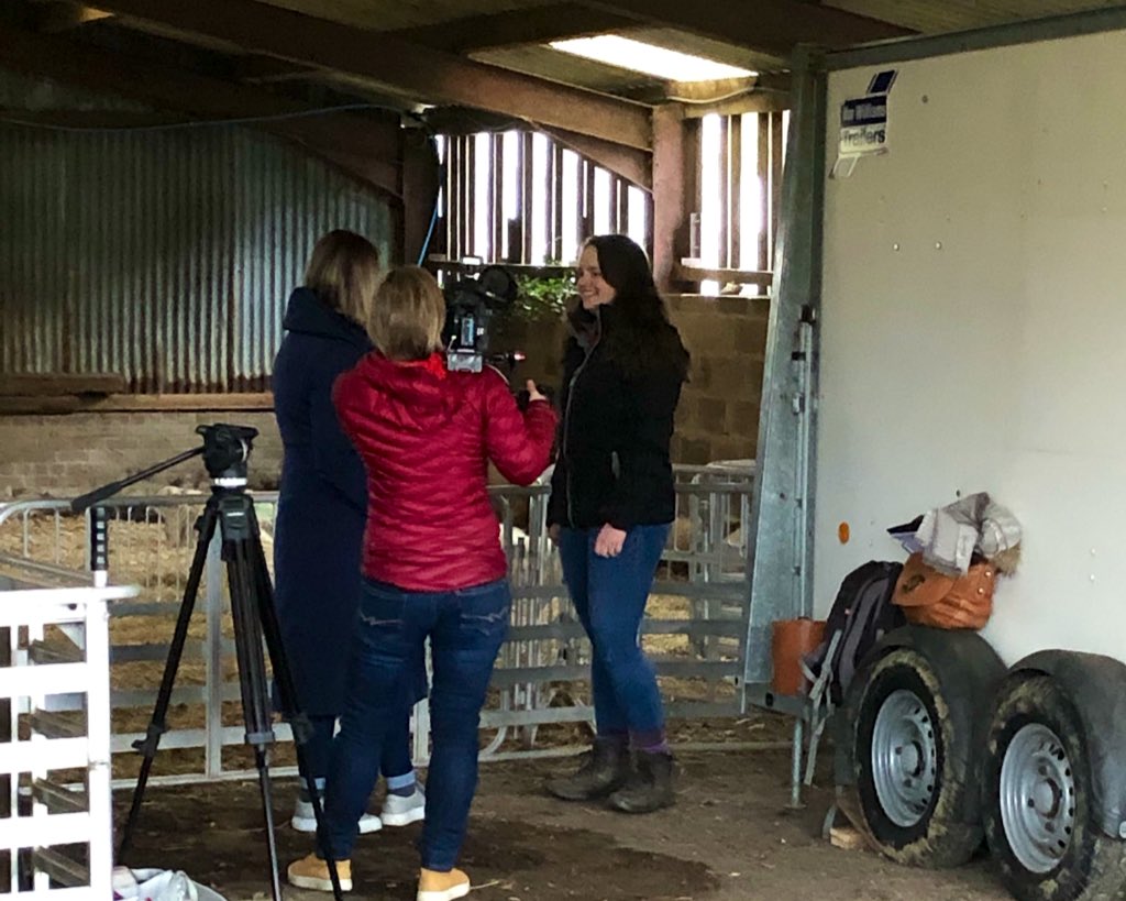 Hollie Riddell tweet media