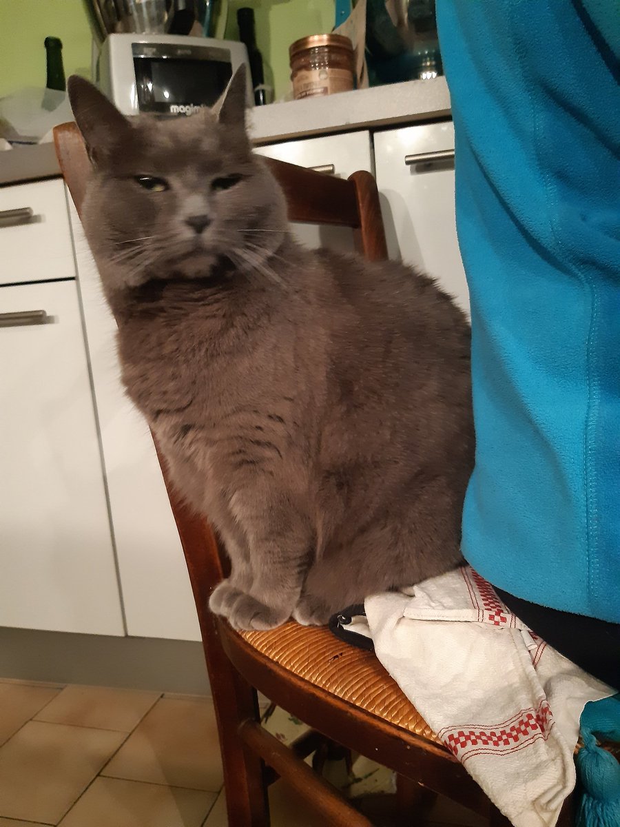 GreyPotato4's tweet image. Que quand grandnumaine mange j'aime bocou me mettre derrière le dos pour faire le câlin