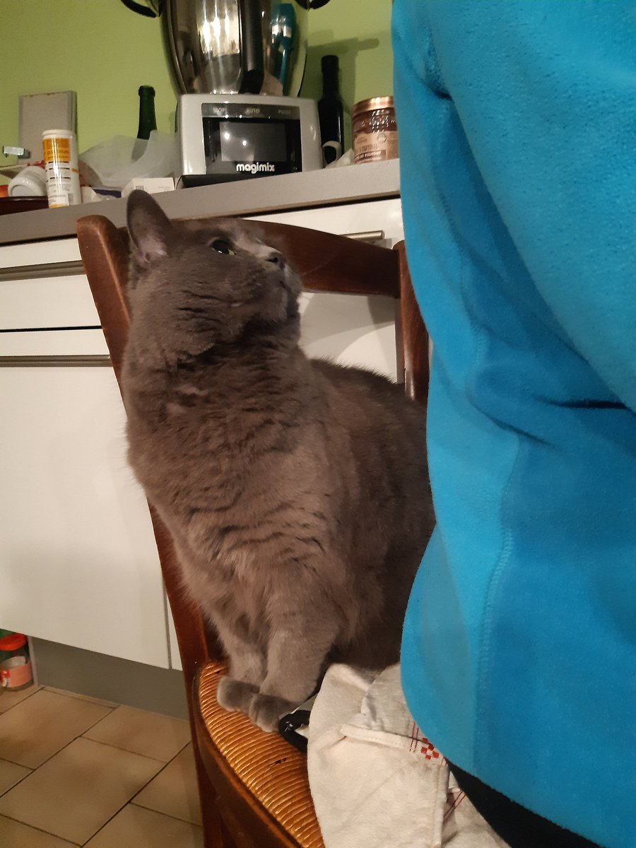 GreyPotato4's tweet image. Que quand grandnumaine mange j'aime bocou me mettre derrière le dos pour faire le câlin