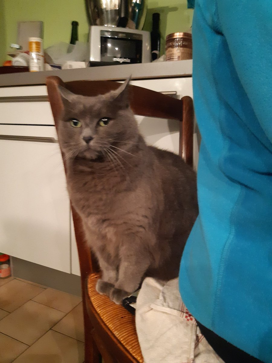 GreyPotato4's tweet image. Que quand grandnumaine mange j'aime bocou me mettre derrière le dos pour faire le câlin