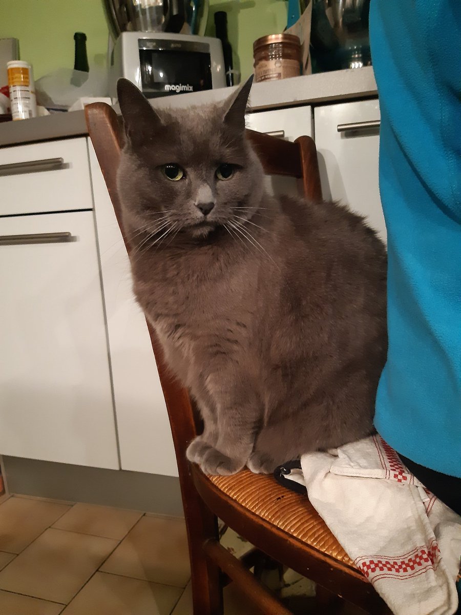 GreyPotato4's tweet image. Que quand grandnumaine mange j'aime bocou me mettre derrière le dos pour faire le câlin