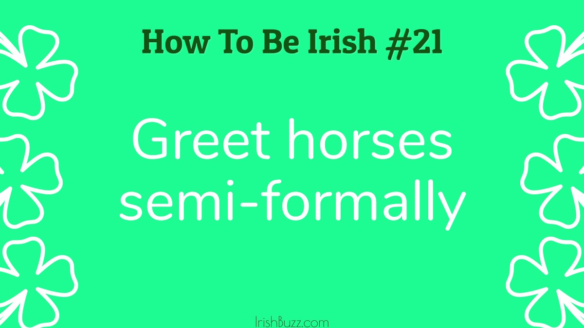 — — — — — — — — — — — — — — — — — — — — — — — — — —

#H2BI turns 21! Read the📗@ IrishBuzz.com/Irish-Humor/Ho…

                                                       🐎

                                                 #ANTIblog   

— — — — — — — — — — — — — — — — — — — — — — — — — —