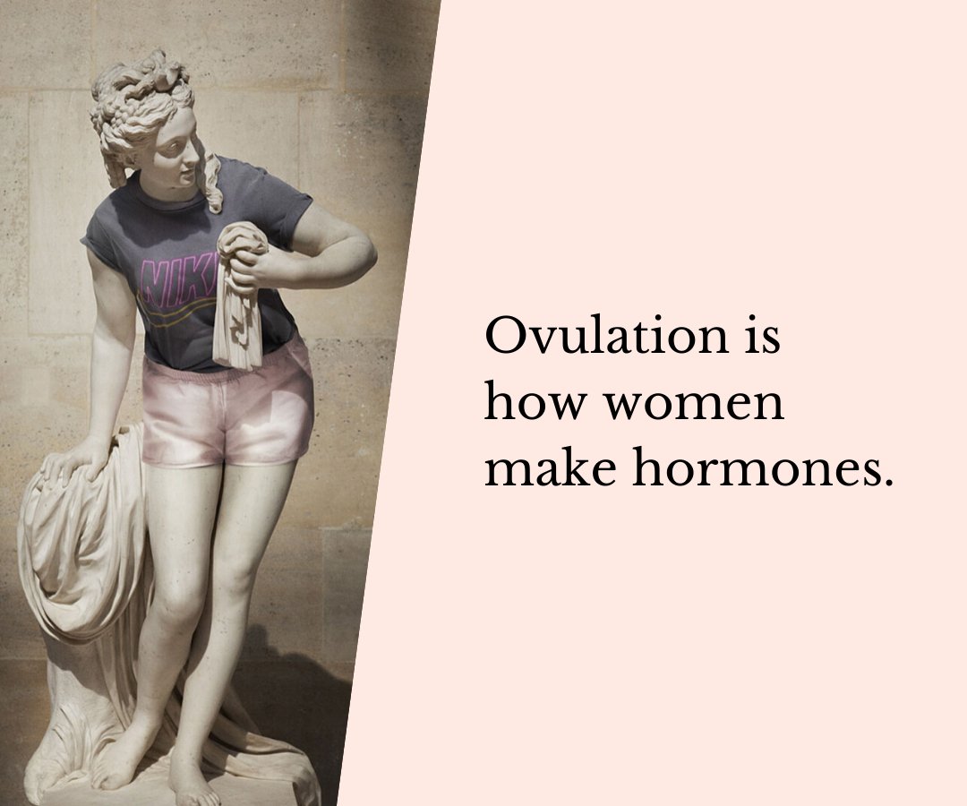 Lara Briden tweet media