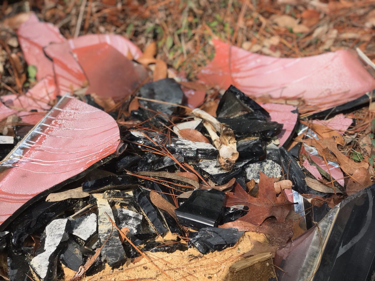 PalmettoPride's tweet photo. Once a couch has been dumped, household garbage, landscaping materials and tires will soon follow. Ask us about our camera loan program for litter hot spots. 🛋🗑🎥👀 #CitizensNotCustomers #LitterFreeSC https://t.co/vwhOEzUJ15