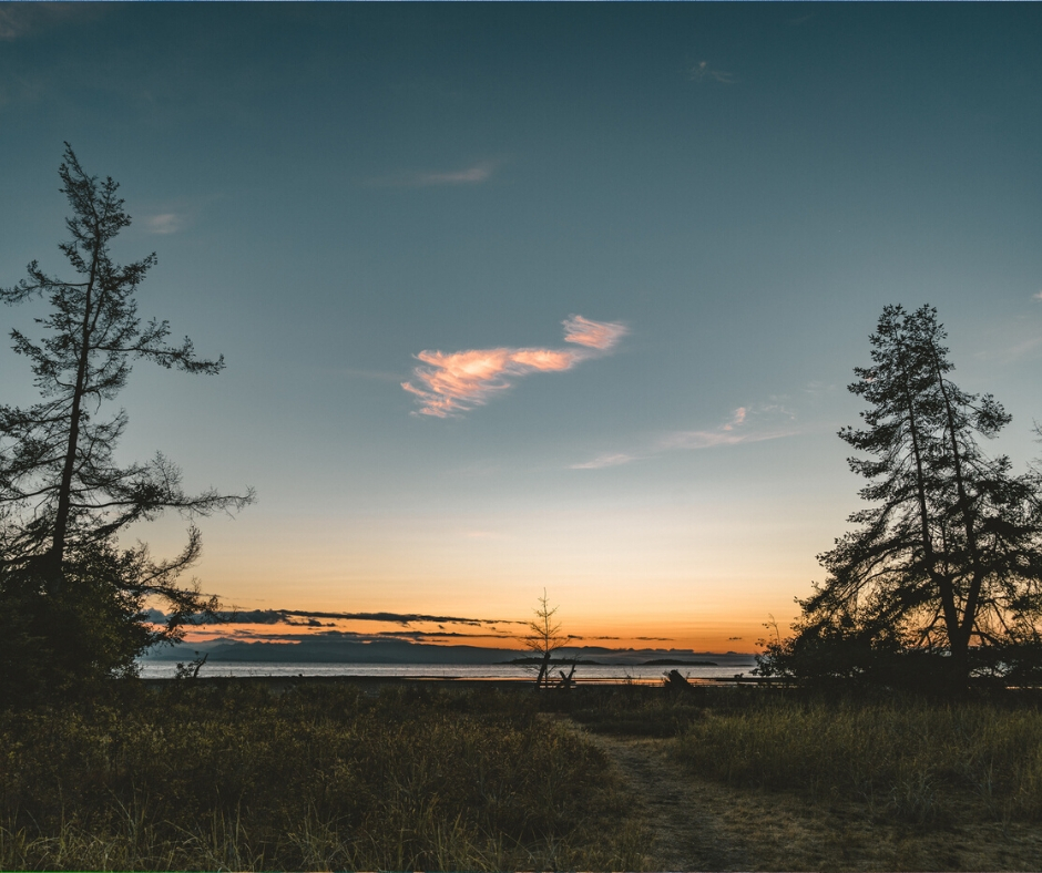 There's a reason they call it the "Golden Hour!"😍🌅
#VancouverIsland