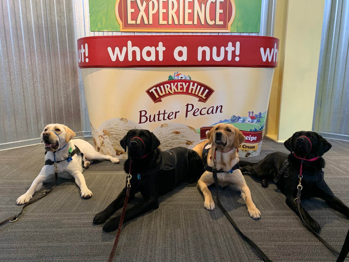 CPL service dogs in training took a trip to <a href="/TurkeyHillExp/">TurkeyHillExperience</a> . Volunteers accompanied the trainers and service dogs in training Cleveland, Rocky, Lia, and Peppermint practiced their skills and manners in public