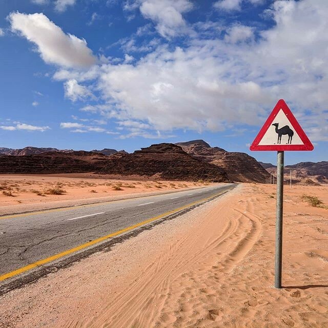 Camel crossing 🐪🎈 📸<a href="/mihaela/">mihaela</a>.ela #wadirum #wadirumdesert #jordan #engagingtravel #traveldeeper #visitjordan #shareyourjordan #adventuretravel ift.tt/38NspkZ