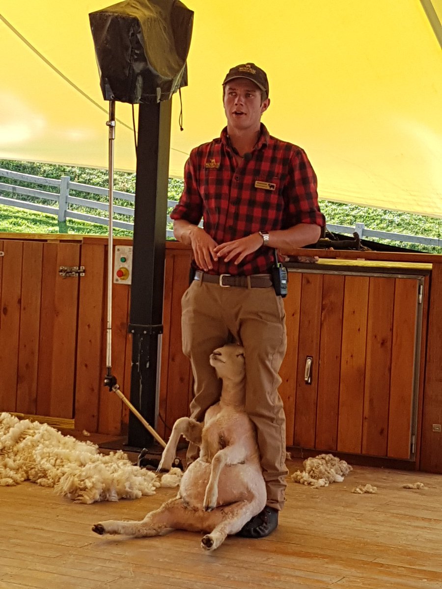 thetravellocker's tweet photo. Enjoyed a superb Gourmet BBQ Cruise sailing on steamship #TSSEarnslaw to Colonels Homestead #queenstown #newzealand #walterpeakstation  #walterpeakhighcountryfarm @realjourneys #realjourneys #walterpeak #Highcountryfarm #sheep #shearing #food #drink #views #itagqueenstown https://t.co/HAtXH4ctvt
