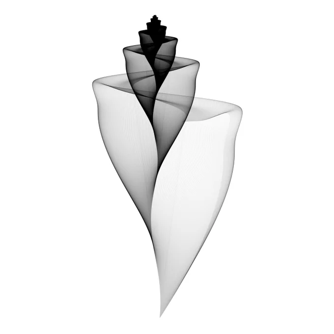 Image from Marcus Volz (@marcus_volz)