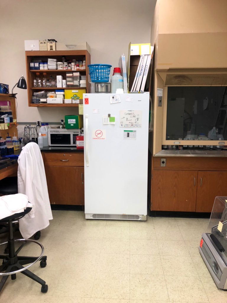 LennyLegionella's tweet photo. Hey Lenny, what’s up?
Oh not much, just hangin 😎🦠
#FindLenny https://t.co/RYev6bqJ4T