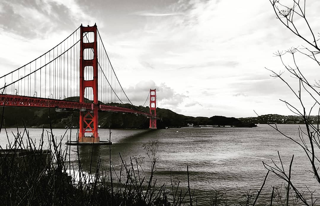 Picscels's tweet photo. Golden Gate Bridge San Francisco California 

#sanfrancisco #goldengatebridge https://t.co/aqf4fyiB8f