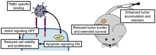 Just accepted! Check out <a href="/TheDayLab/">Emily Day</a>'s latest paper in <a href="/acsnano/">ACS Nano</a> describing antibody/drug nanocarriers to treat triple-negative breast cancer! Congrats <a href="/DanielleValcou2/">Danielle Valcourt, PhD</a> <a href="/meganndang/">Megan Dang</a> and <a href="/mackenziescull3/">Mackenzie Scully</a> for your beautiful study! pubs.acs.org/doi/10.1021/ac…