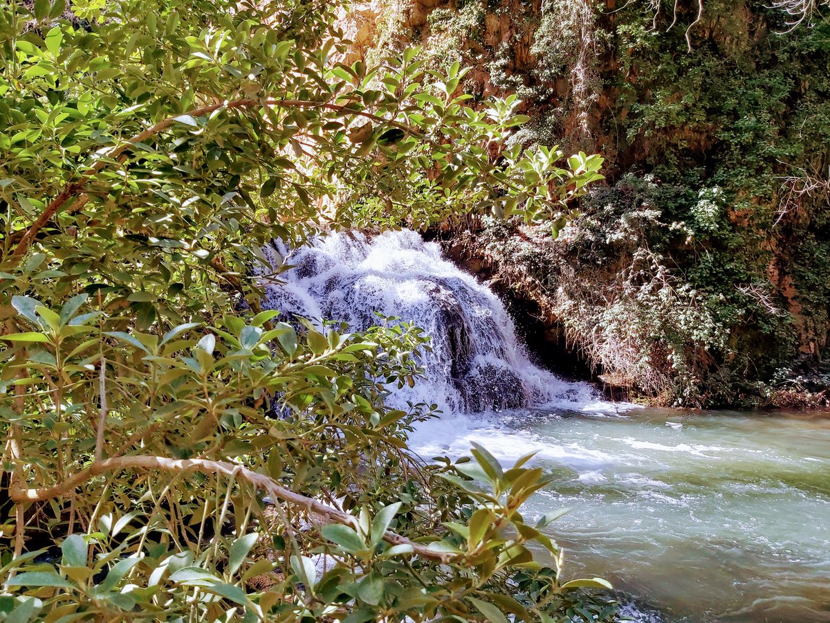 Monasterio de Piedra, un oasis situado en mitad de un paisaje árido, ¡Descúbrelo!👉monasteriopiedra.com #monasteriodepiedra #escapararural #naturaleza #historia #turismo #arte #escapadasquemolan #Aragón #zaragoza