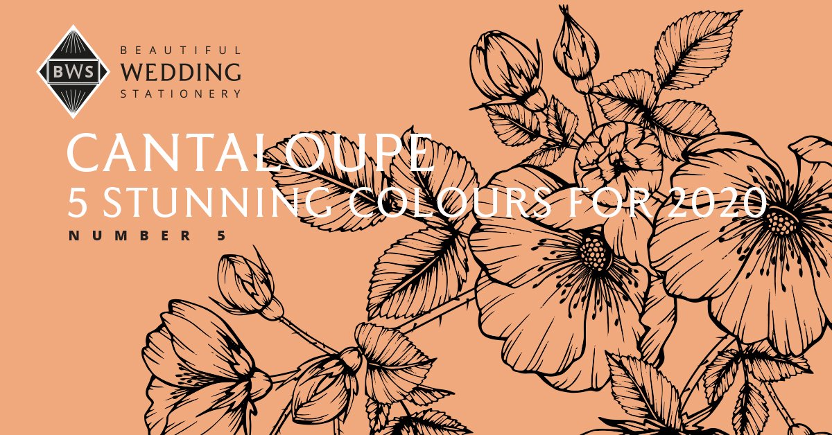 Cantaloupe - Colourful enough to be fun, but not too bold that it won’t work with other colours, Cantaloupe has a feel-good quality making it ideal for a summer wedding. 🌅
beautifulweddingstationery.co.uk/stunning-colou…