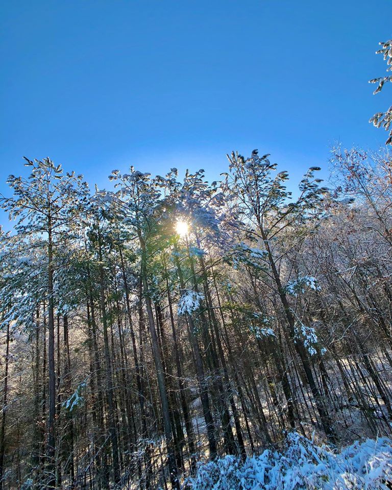 joelhensoniii's tweet photo. His mercies are new every morning—great is His faithfulness! #snowday #snow #ncwinter #trees #sunshine #landscapephotography https://t.co/JOdpR14avl