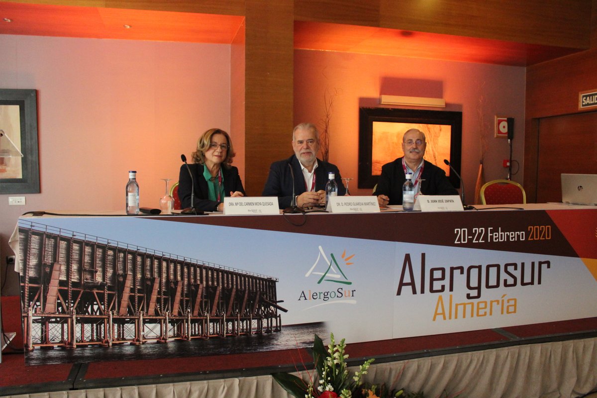 alergosur_es's tweet photo. Celebramos rueda de prensa para presentar la XLIX Reunión de @ALERGOSUR_NET a los medios de comunicación https://t.co/GnzienDEe9 #SomosAlergólogos #Alergosur2020 https://t.co/9JDE8owu45