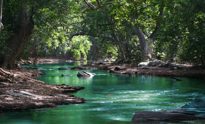 digitalxacademy's tweet image. Travel Industry Building its Immunity with Artificial Intelligence

#ai #machinelearning #ai_iot #ai_travel #datascience #artificialintelligence #ai_patents #machinelearning #deeplearning #ai_trends #digitalera #digitaltransformation #digital_tools #digital_ai