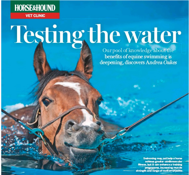 This weeks <a href="/horseandhound/">Horse & Hound</a> has arrived in <a href="/MoultonLRC/">Moulton College LRC</a>  featuring an article about #swimming horses #hydrotherapy