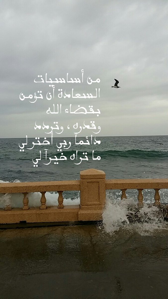 555539Syg's tweet photo. مساء الخير للجميع https://t.co/dzOhOMph6x