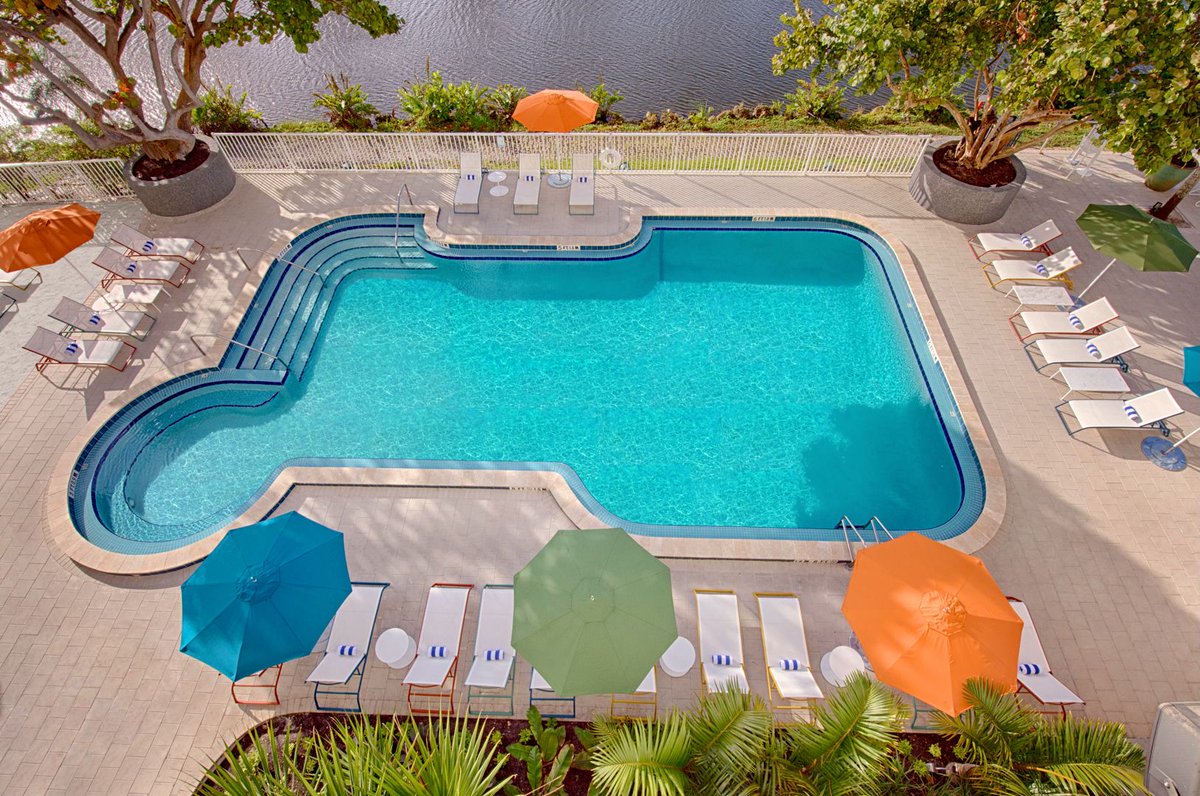 Thank god its Friday! What are your plans this weekend? I see a dip in the pool with this heat ☀️  #fridayfeels #Friday #pool #sheratonmiamiairport #sheraton #floridaweather #Miami
